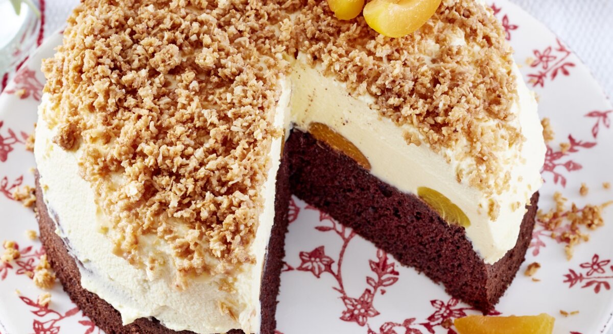 Sägespäne-Aprikosen-Torte mit einem Schokoladenboden, einer cremigen Füllung und einem knusprigen Dekor aus Kokosraspeln, angeschnitten auf einem blumigen Teller auf weißem Untergrund. 