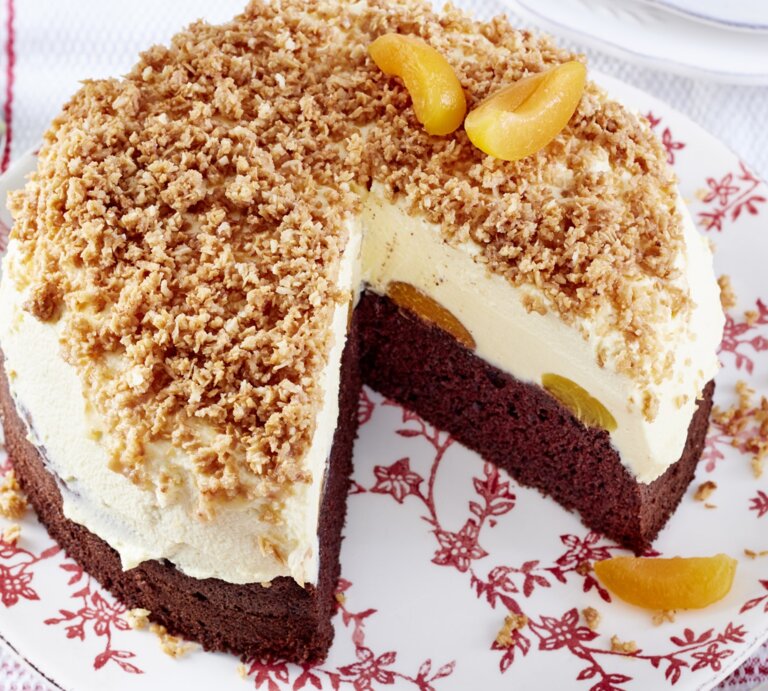 Sägespäne-Aprikosen-Torte mit einem Schokoladenboden, einer cremigen Füllung und einem knusprigen Dekor aus Kokosraspeln, angeschnitten auf einem blumigen Teller auf weißem Untergrund.  | © EAT CLUB / Isabell Triemer