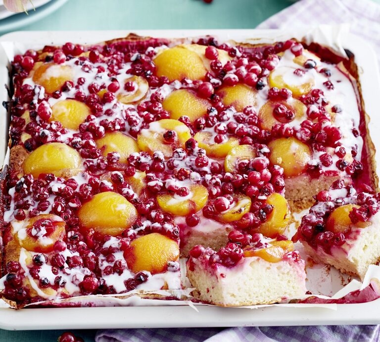 Auf einem Blech liegt ein Johannisbeer-Aprikosen-Blechkuchen. Er ist mit Soße und Guss überzogen und mit Johannisbeeren und Aprikosen belegt. | © Eat Club / Isabell Triemer
