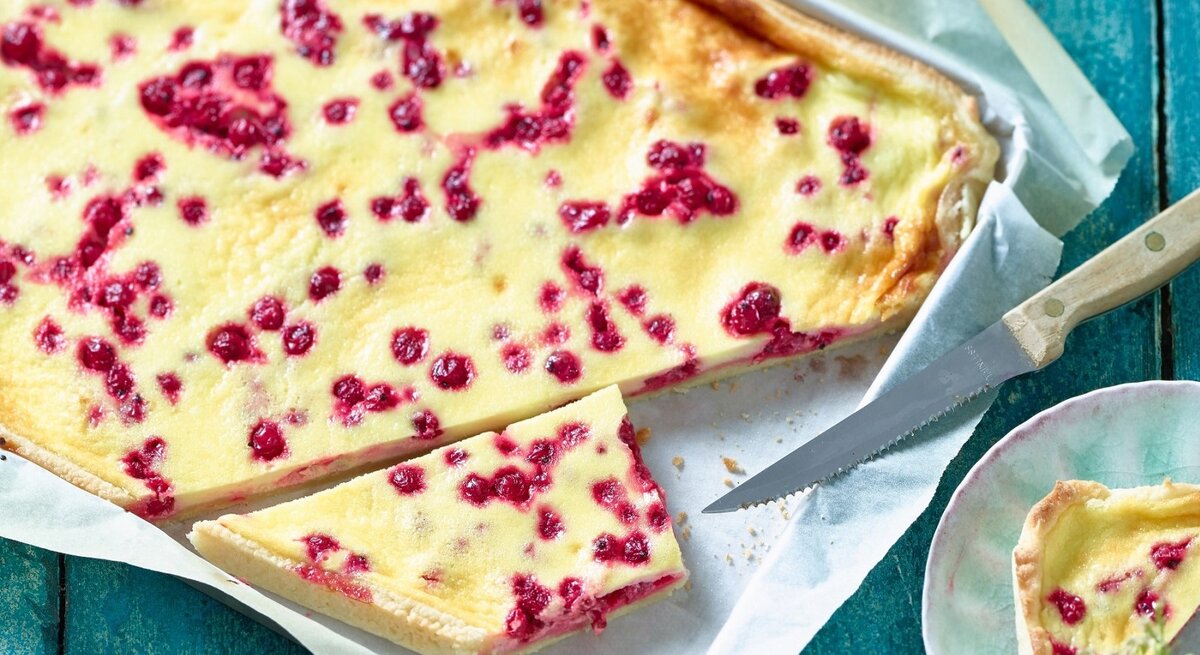 Auf einem Backblech liegt ein Johannisbeer-Schmandkuchen. Er ist cremig und leicht. 