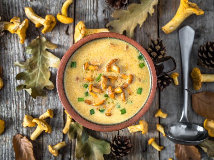 Aus der Vogelperspektive: eine Schüssel Kartoffelsuppe mit Pfifferlingen stehtauf einem Untergund aus Holz. Drumherum liegen Blätter, Tannenzapfen und frische  Pfifferling sowie eine Suppenkelle. | © Getty Images / alicjane