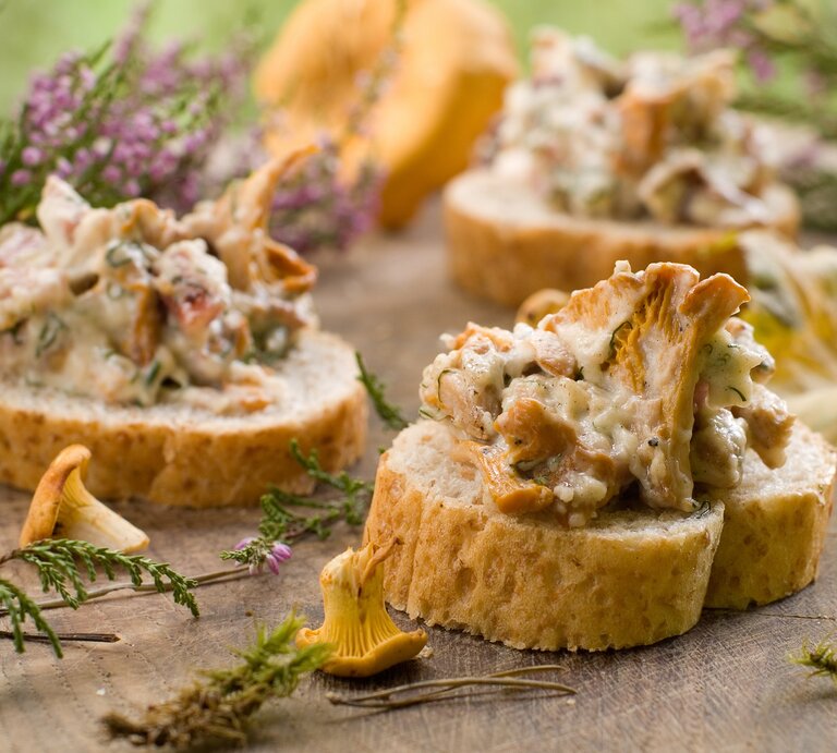 3 Pfifferling-Frischkäse-Toasts auf Baguette, drumherum Blüten und Baumnadeln sowie frische Pfifferlinge. | © Adobe Stock/ Viktorija