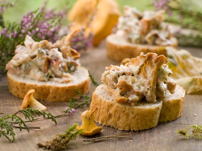 3 Pfifferling-Frischkäse-Toasts auf Baguette, drumherum Blüten und Baumnadeln sowie frische Pfifferlinge. | © Adobe Stock/ Viktorija