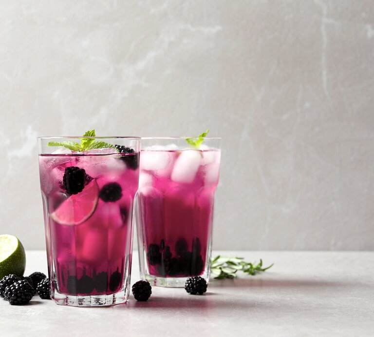 Zwei Gläser Brombeer-Fizz mit frischen Beeren und Limettenscheiben, außerdem Minze. | © Shutterstock/ New Africa