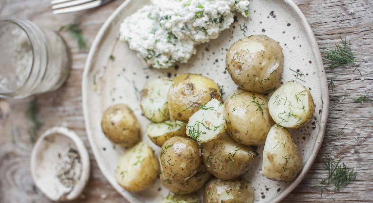 Kartoffeln mit frischem Dill und Gzik