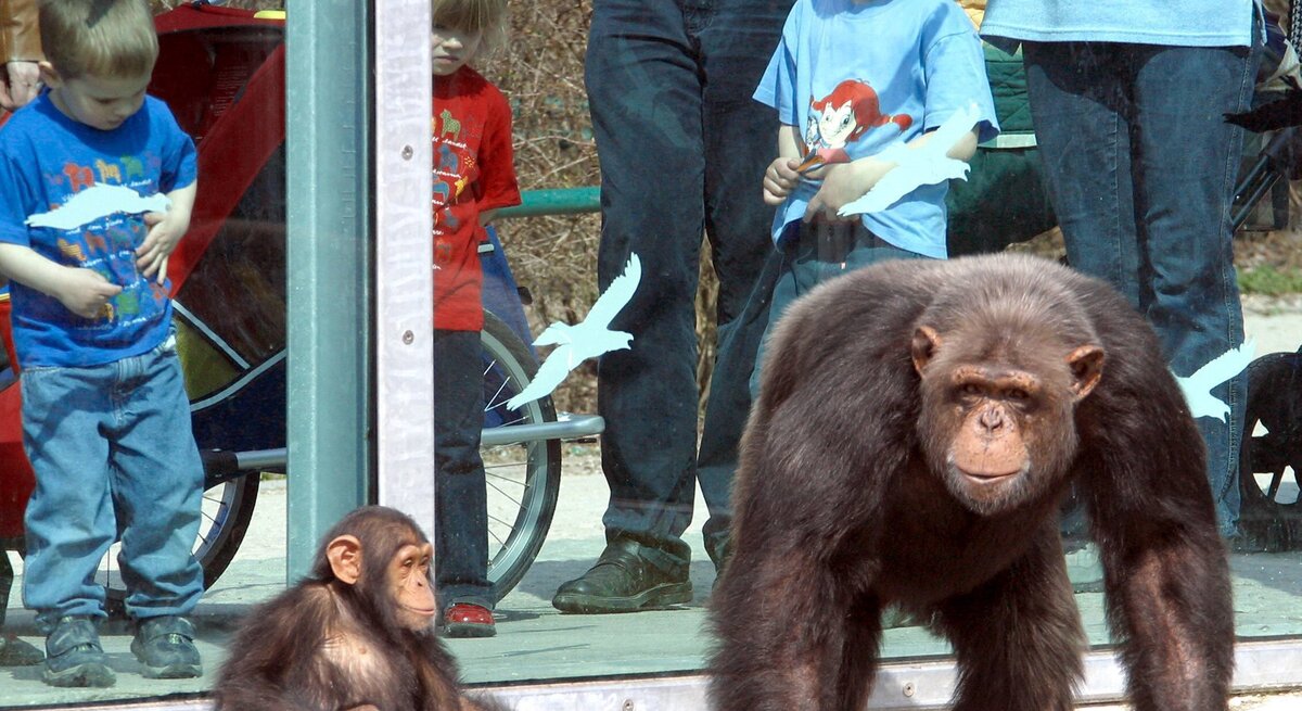 Zoo