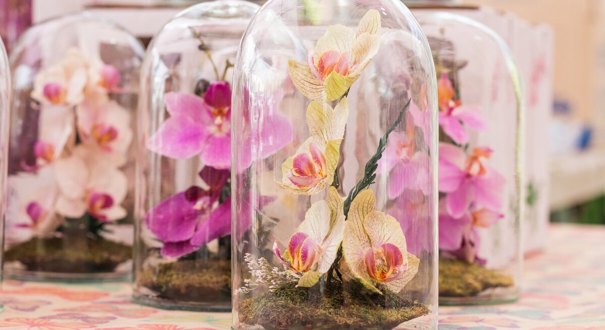 Mehrere Orchideen in einem Glas sind zu sehen.