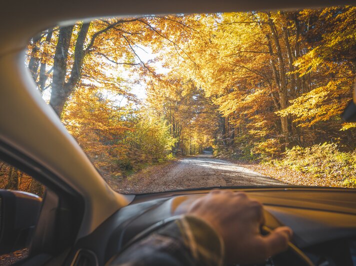 Auto im Herbst, Autofahren im Herbst, Autopflege im Herbst, Pkw im Herbst | © Getty Images/© Marco Bottigelli