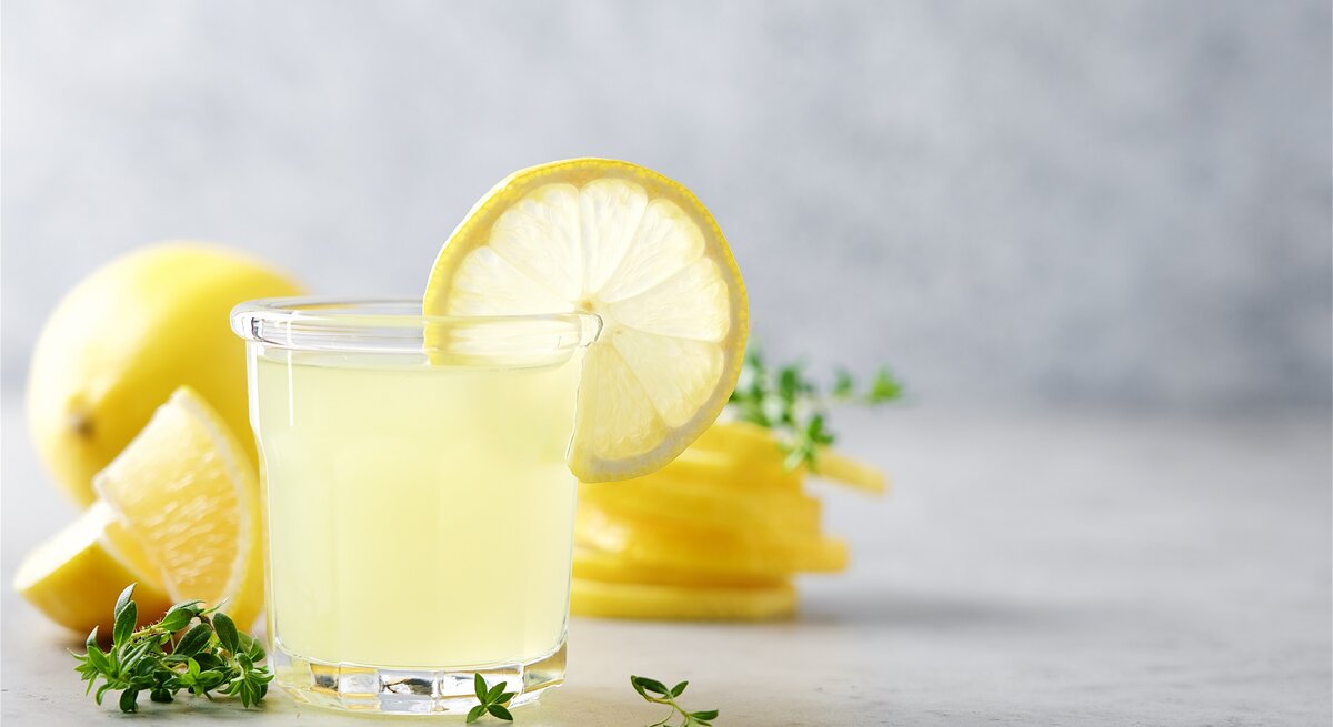 Ein Glas Limoncello Gin Fizz mt einer Zitronenscheibe garniertm, drumherum liegen frische Kräuter und Zitronen, teilweise angeschnitten.