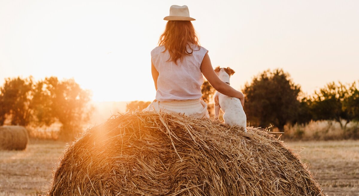 Frau und Hund sitzen auf einem Heuballen und genießen einen Sonnenuntergang auf einem Feld.