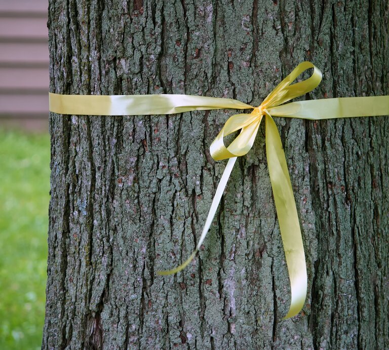 Gelbes Band um Baum.  | © shutterstock/Sam Ives