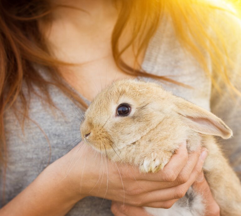 Junge Frau hält Kaninchen im Sonnenlicht auf dem Arm.  | © Shutterstock/Evgeniy Goncharov photo