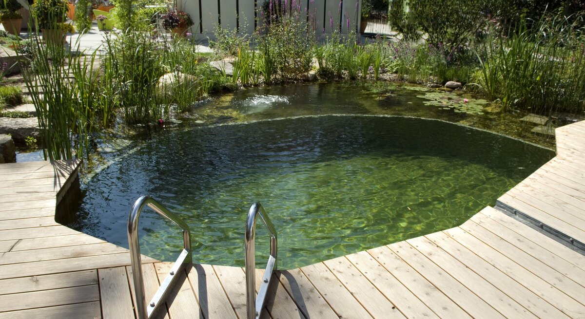 Das Bild zeigt einen kleinen Teich, in den eine Leiter reicht. Mehrere Pflanzen, wie z. B. Seerosen, finden sich in dem Teich. Die Umrandung bildet zum Teil ein Holzsteg.