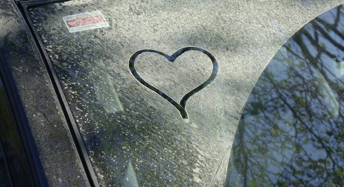 Blütenstaub auf Auto, Pollenstaub, Auto, gelber Staub