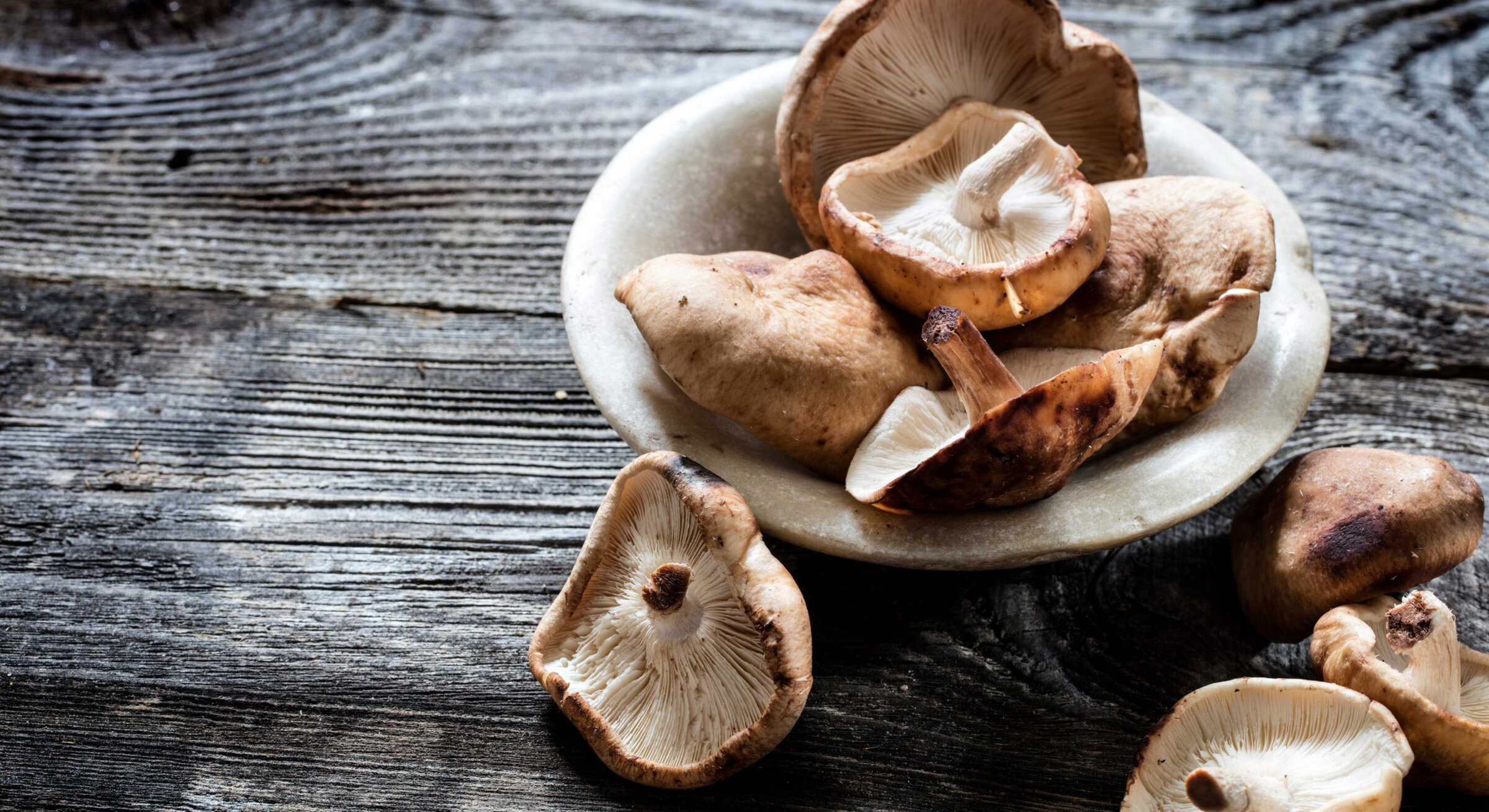 Shiitake Pilze: Zubereiten, kaufen, putzen – das solltest du wissen