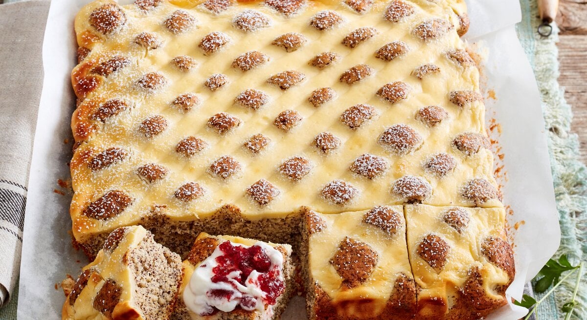 Steppdecken-Mohnkuchen, gebacken auf einem Blech und angeschnitten serviert mit Preiselbeer-Sahne und Puderzucker. 