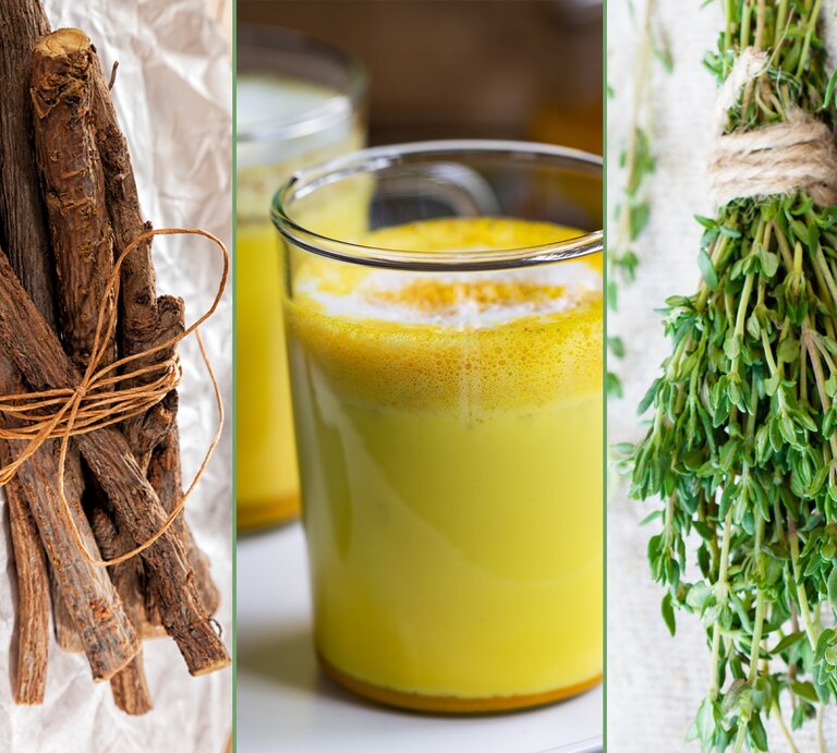 Natürliche Antibiotika | © iStock (3) Collage BILD der FRAU