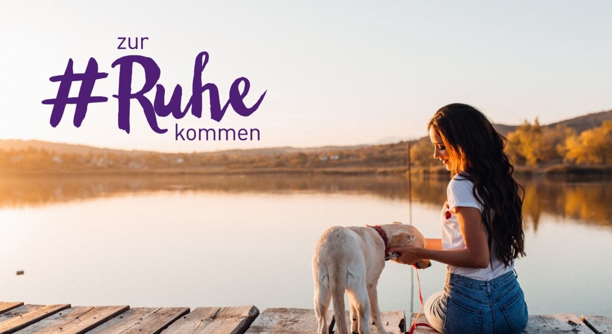 Eine Frau sitzt entspannt auf einem Holzsteg am Ufer eines Sees und streichelt liebevoll einen weißen Hund, der neben ihr steht. Sie trägt ein weißes T-Shirt und Jeans, und ihre langen dunklen Haare fallen über ihre Schultern. Die Szene ist in warmes, weiches Abendlicht getaucht, das eine friedliche und ruhige Atmosphäre schafft. Im Hintergrund sind sanfte Hügel und der ruhige See zu sehen. Über der Szene steht der Schriftzug "#zur Ruhe kommen" in großer lila Schrift, was auf einen Moment der Entspannung und des Einklangs mit der Natur hindeutet.