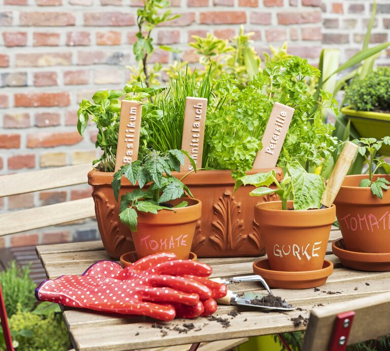 Tisch mit Küchernkräutern im Pflanztopf, bunten Gartenhandschuhen und einer Schaufel.  | © Imago/Gaby Wojciech 