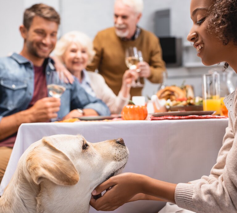 Familie sitzt am Tisch mit Hund. | © Shutterstock/LightField Studios