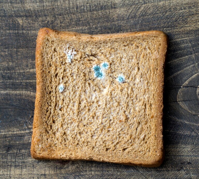 Ein verschimmeltes Toastbrot liegt auf einem Tisch  | © iStock/librakv