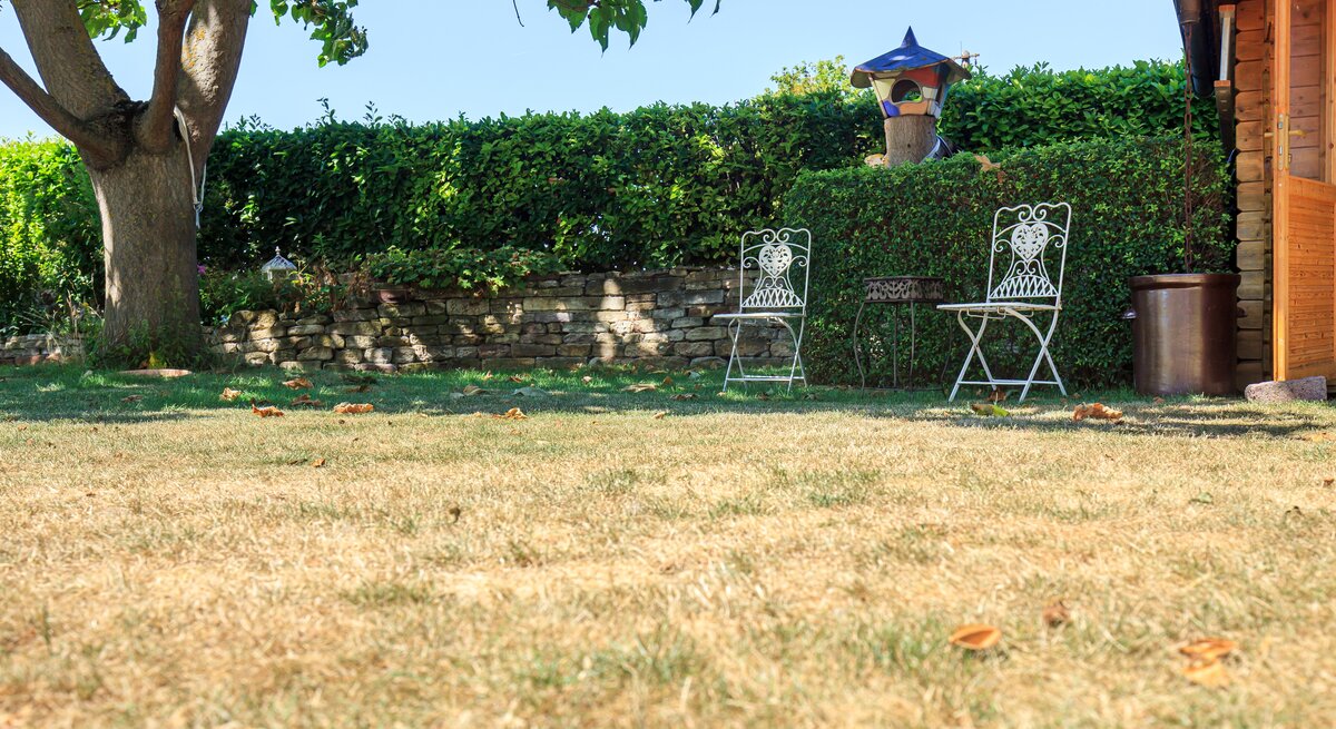 Ein Garten mit vertrocknetem Rasen.