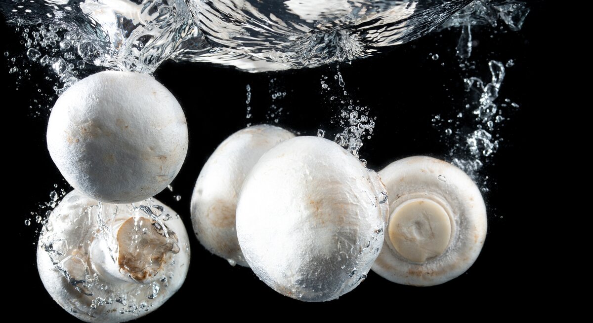 Champignons unter Wasser.