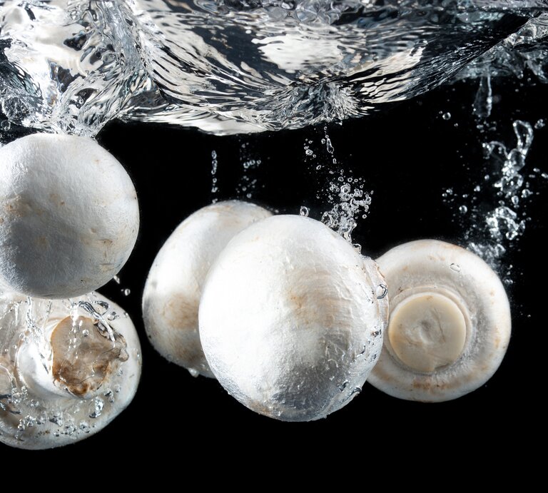 Champignons unter Wasser. | © Getty Images/	Przemyslaw Iciak / EyeEm