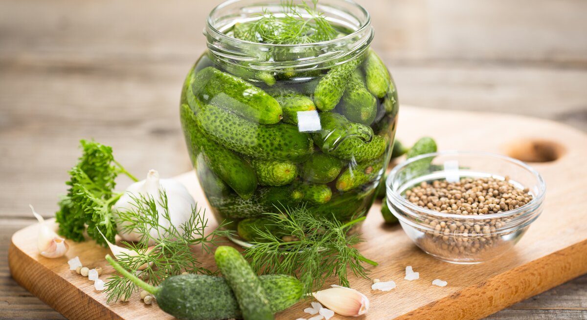 Einmachglas gefüllt mit Gewürzgurken. Daneben liegen frischer Dill, Senfkörner, Knoblauchzehen und Meersalz.
