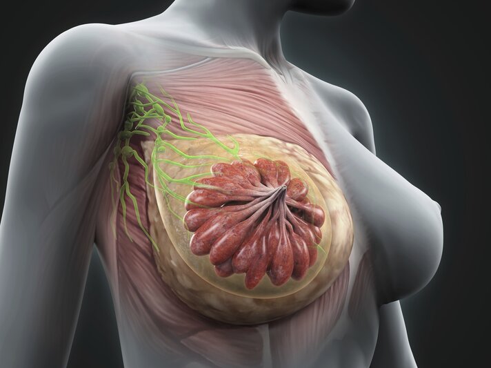 iStock_000044705884_XXXLarge.jpg | © ©iStock / Nerthuz