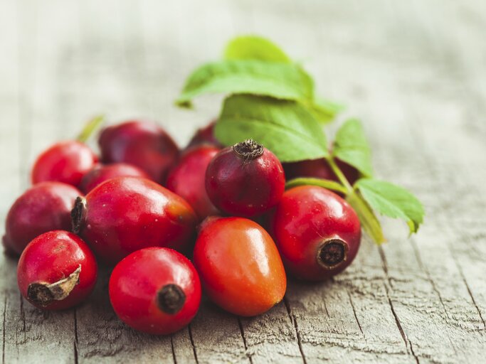 Statt exotischer Superfoods bietet auch unsere Region hervorragende Nährstoffbomben, wie zum Beispiel die Hagebutte, die Camu-Camu den Rang ablaufen kann. | © istock/oksix