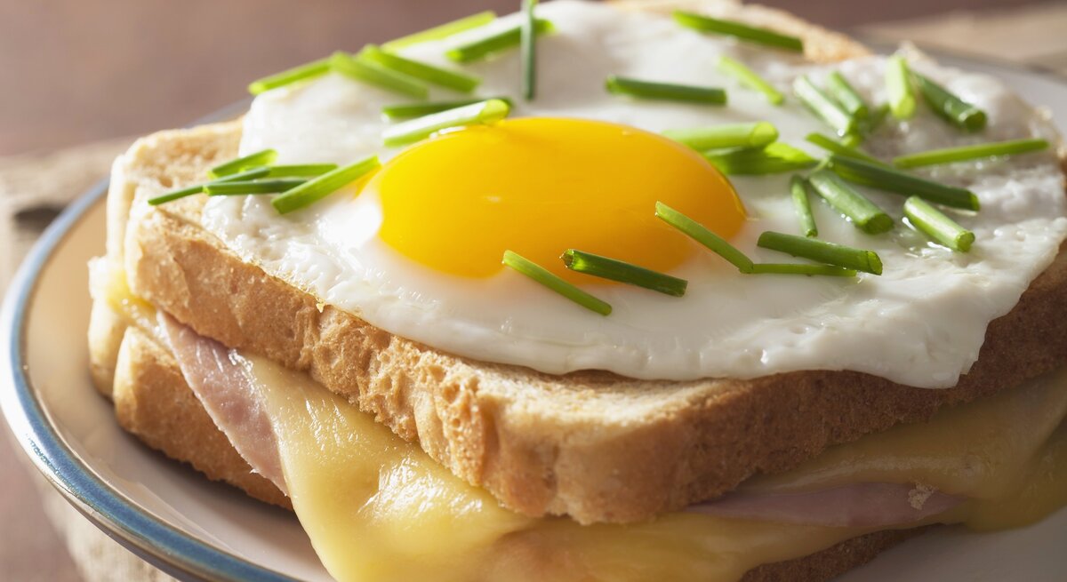 Das Sandwich mit Spiegelei und Schnittlauch belegt in Nahaufnahme direkt von vorne fotografiert.