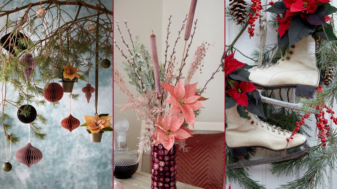Kreative Deko-Ideen mit Weihnachtssternen in der Galerie