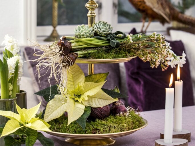 Weihnachtsstern Etagiere Arrangement | © starsuniteeurope.eu