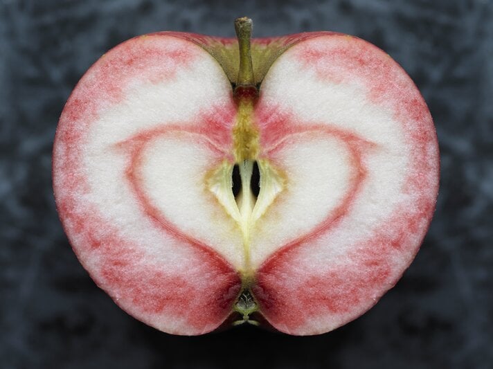 Der rote Apfel "Vampira" mit rotem Fruchtfleisch. | © Getty Images/ Lisbeth Hjort