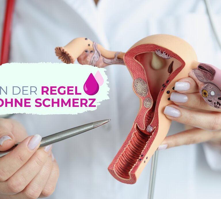 Arzt hält Modell weiblicher Geschlechtsorgane in der Hand | © GettyImages/Ivan Balvan