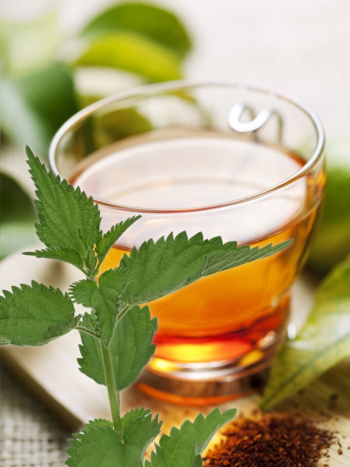 Brennessel-Rooibos-Tee | © Shutterstock, iStock [M]