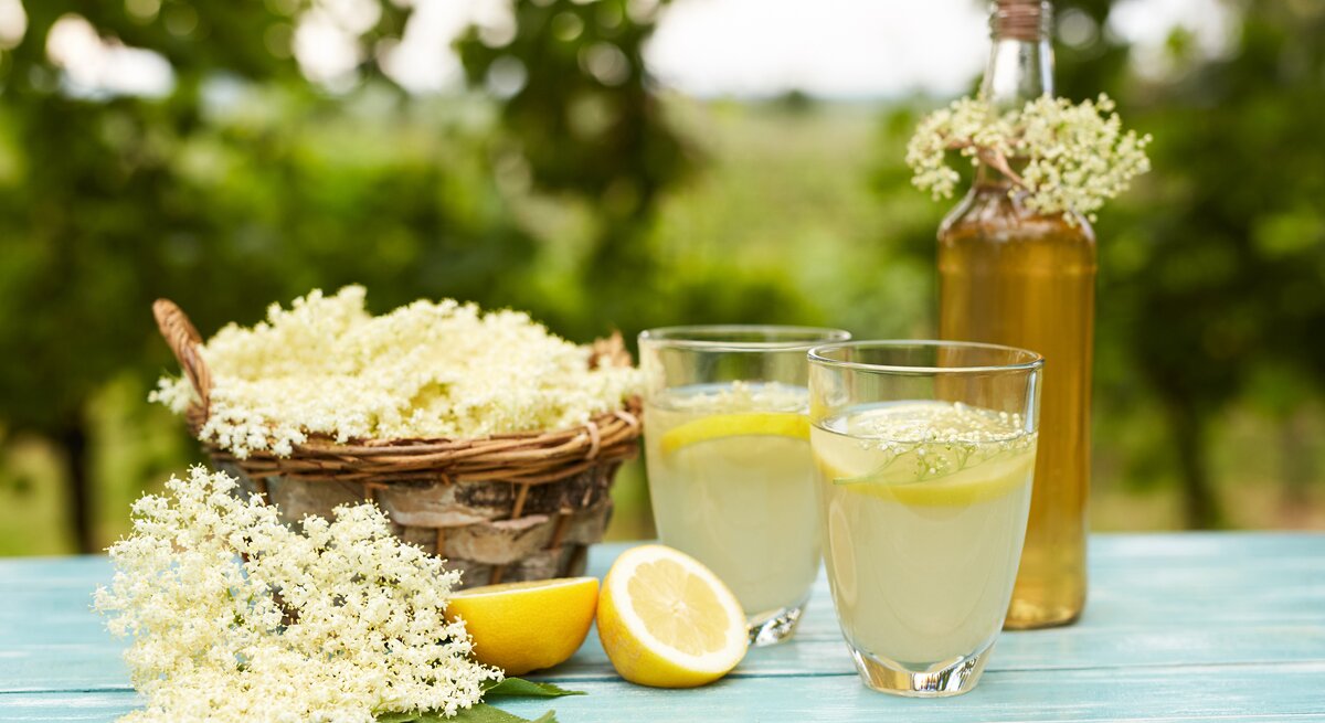 Ob in Wasser oder Sekt: Holunderblütensirup verleiht Getränken das besondere Etwas. 