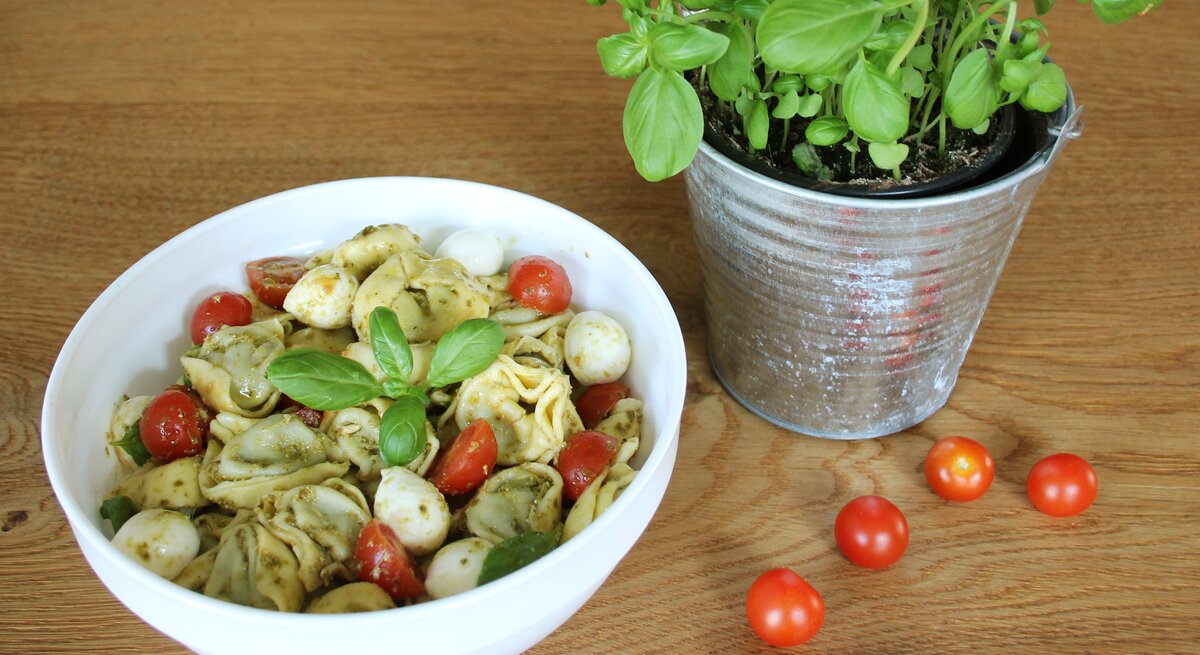 Eine weiße Schüssel gefüllt mit italienischem Tortellinisalat mit Pesto.