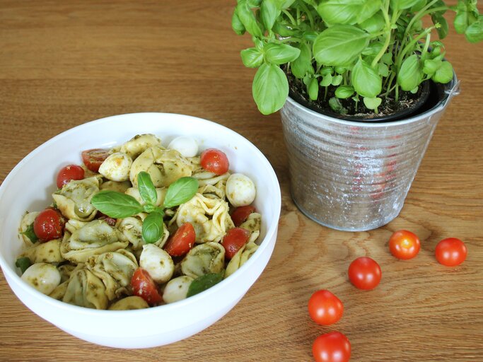 Eine weiße Schüssel gefüllt mit italienischem Tortellinisalat mit Pesto. | © Redaktion