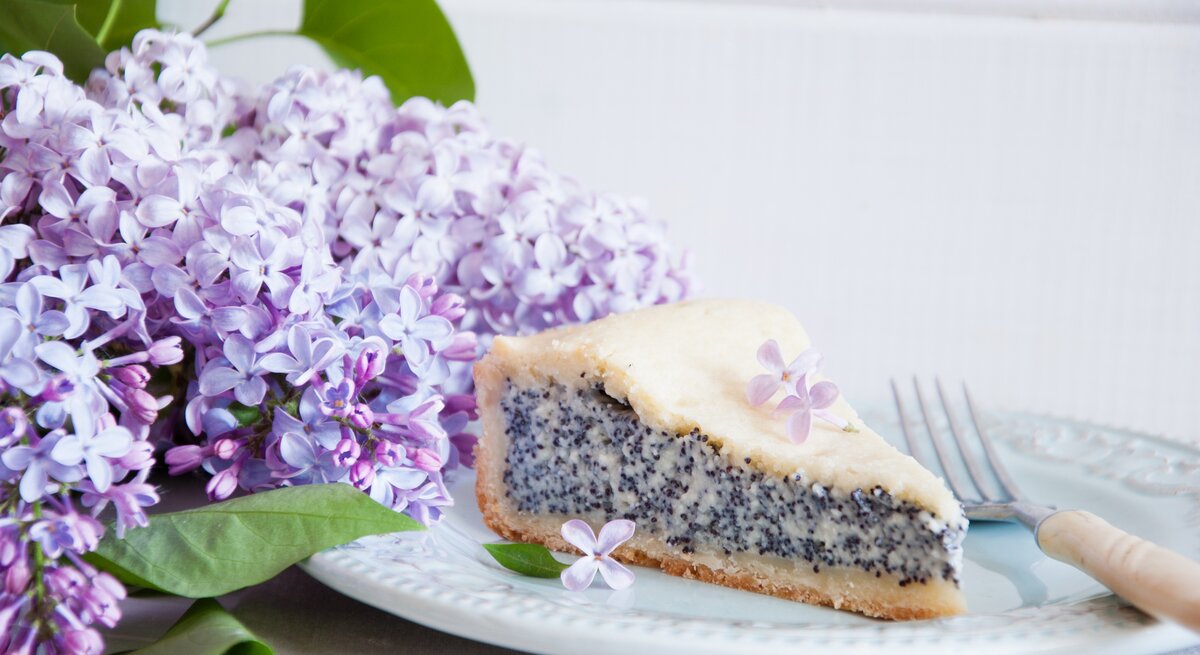 Thüringer Mohnkuchen auf weißem Teller. 