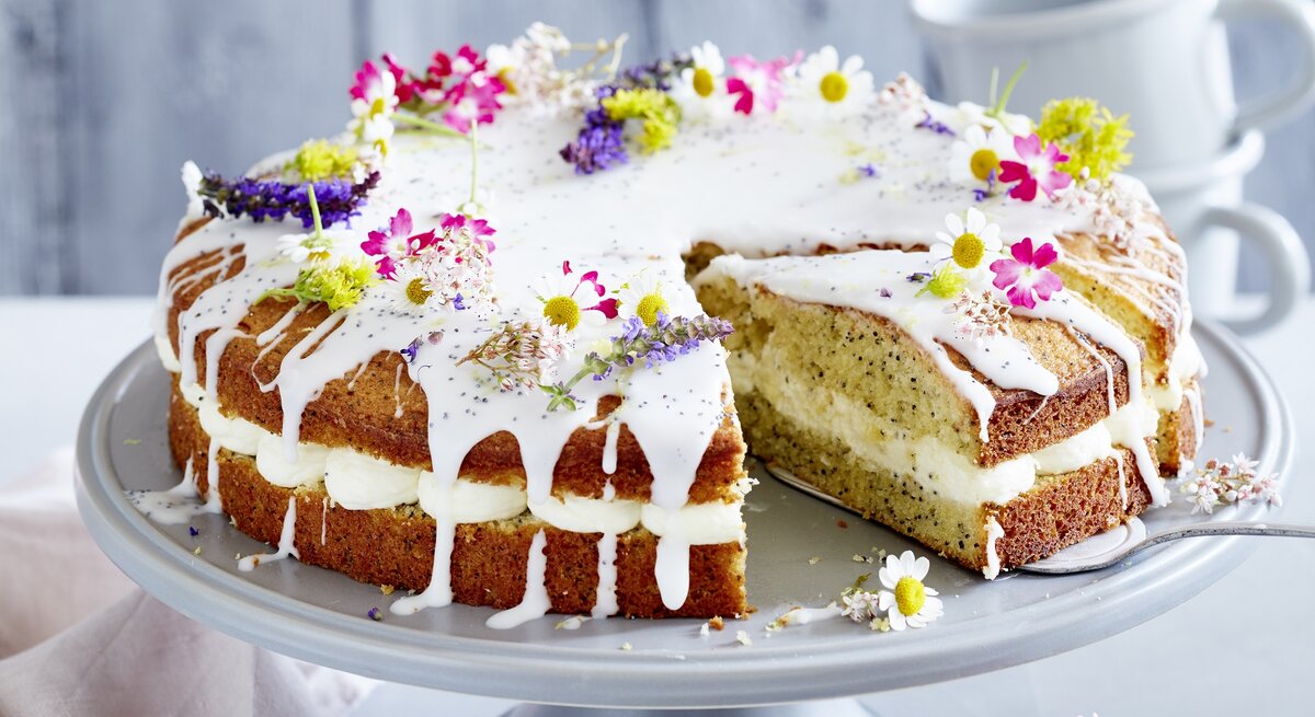 Zitronen-Drizzle-Kuchen mit Mohn / Deko aus frischen Blüten / auf Kuchenplatte angerichtet / Hintergrund: zwei Tassen