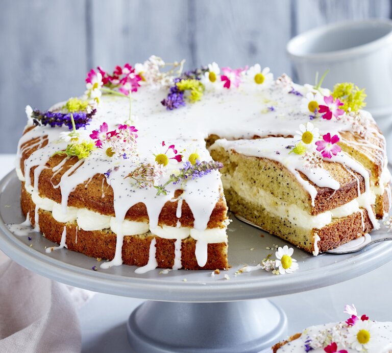 Zitronen-Drizzle-Kuchen mit Mohn / Deko aus frischen Blüten / auf Kuchenplatte angerichtet / Hintergrund: zwei Tassen | © Isabell Triemer