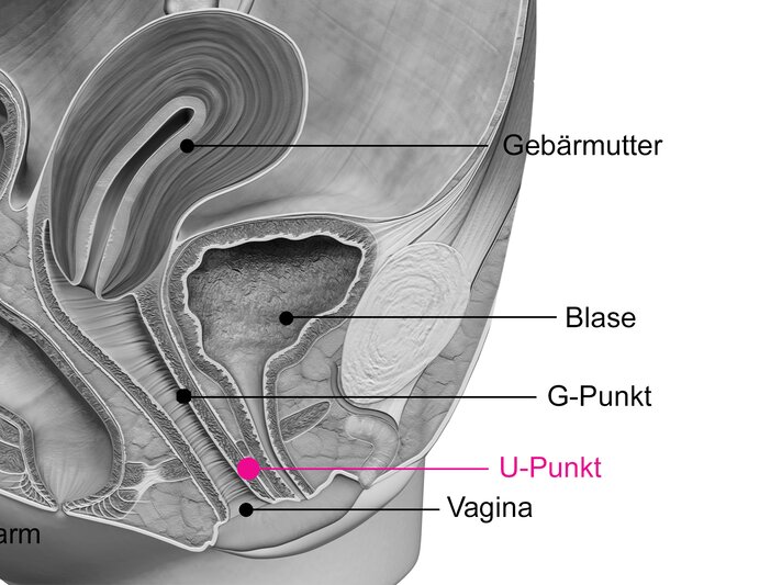 U-Punkt.jpg | © iStock [M]