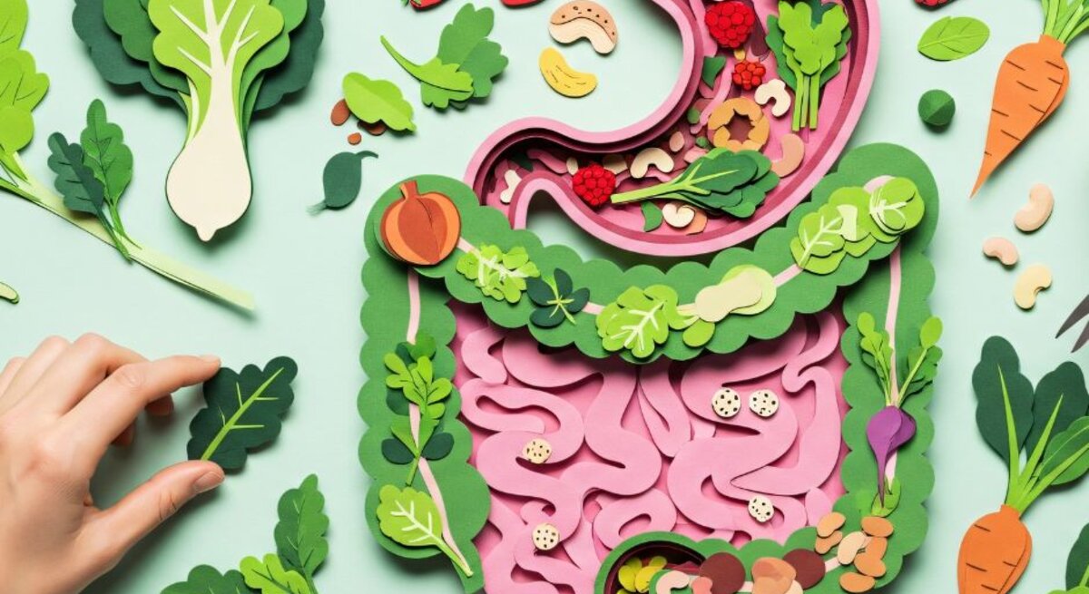 Ein farbenfrohes, kunstvolles Bild, das den menschlichen Verdauungstrakt darstellt, aus Papier gestaltet. Der Magen und der Darm sind in Rosa dargestellt, umgeben von detaillierten Papierausschnitten verschiedener Gemüsesorten wie Karotten, Rote Beete, Salat, und Obst wie Erdbeeren und Himbeeren. Eine Hand greift nach einem grünen Blatt auf der linken Seite. Das Bild symbolisiert gesunde Ernährung und die Verbindung zwischen Lebensmitteln und Verdauung.