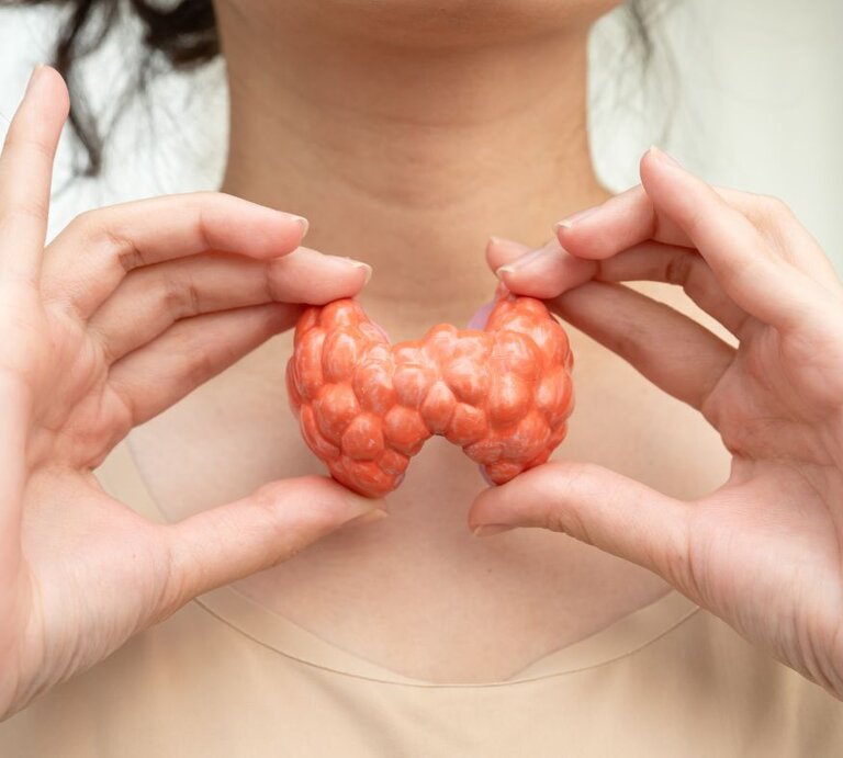 Frau hält ein Modell einer Schilddrüse vor ihren Hals, um Schilddrüsenfunktion und gesundheitliche Probleme im Halsbereich zu veranschaulichen. | © sasirin pamai's Images via Canva.com 