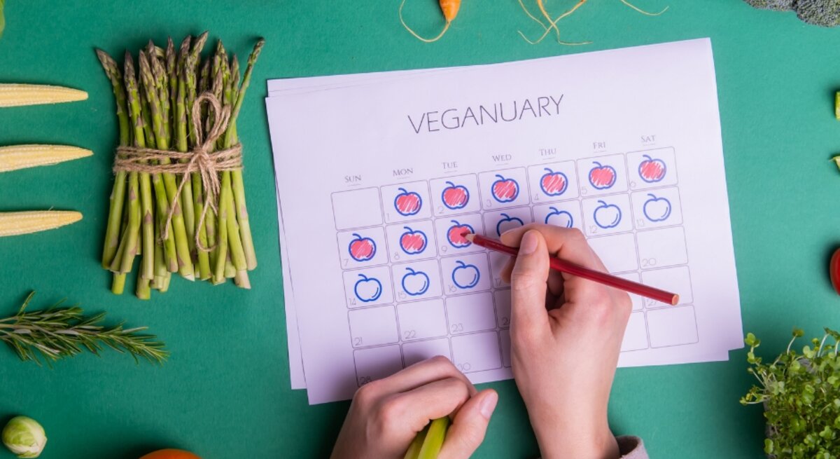 Ein Kalenderblatt mit der Aufschrift „Veganuary“ liegt auf einem grünen Hintergrund, umgeben von frischem Gemüse wie Karotten, Brokkoli, Paprika, Basilikum, Spargel und kleinen Tomaten. Eine Person markiert mit einem roten Stift einen Tag auf dem Kalender. Der Fokus liegt auf einer gesunden und veganen Ernährung.