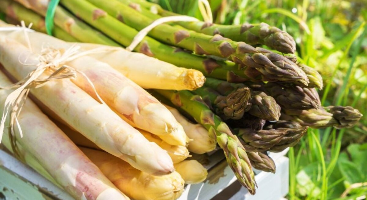 Bund weißer und grüner Spargel auf einer Holzkiste im sonnigen Garten. Ausführlich: Bündel weißer und grüner Spargelstangen liegen auf einer rustikalen Holzkiste im Freien, warmes Sonnenlicht und grüner Hintergrund.