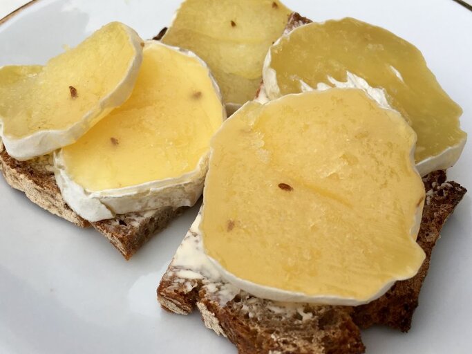 Scheiben von Harzer Käse mit gelblich-transparenter Optik liegen auf dunklem Vollkornbrot; die weiche Käserinde und kleine Kümmelkörner sind deutlich sichtbar. | © Getty Images/ maerzkind via Canva.com