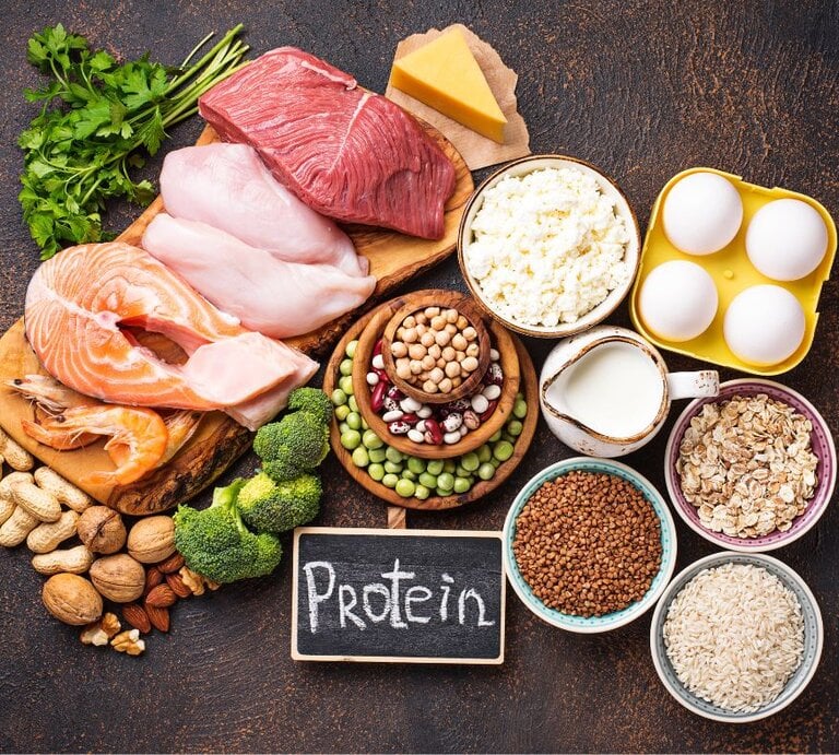 Vielseitiges Arrangement proteinreicher Lebensmittel von tierischer und pflanzlicher Herkunft: rohes Rindfleisch, Hähnchenbrust, Lachssteak und Garnelen, Eier in einer Schale, Käse und Quark, Milch sowie Schalen mit Linsen, Kichererbsen, Bohnen, Erbsen, Haferflocken und Reis; dazu Nüsse, Brokkoli und Kräuter, vor einer kleinen Tafel mit der Aufschrift „Protein“. | © Getty Images Pro/yulka3ice via Canva.com